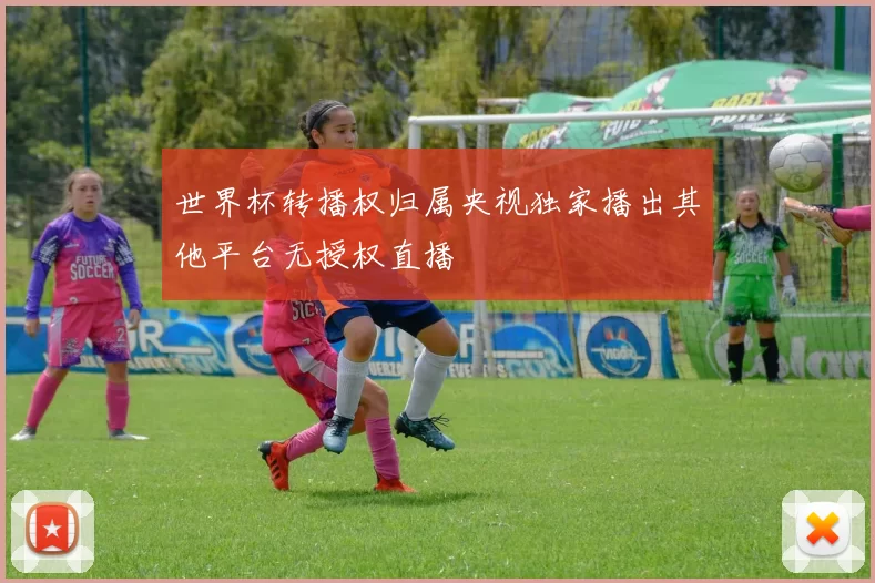 世界杯转播权归属央视独家播出其他平台无授权直播