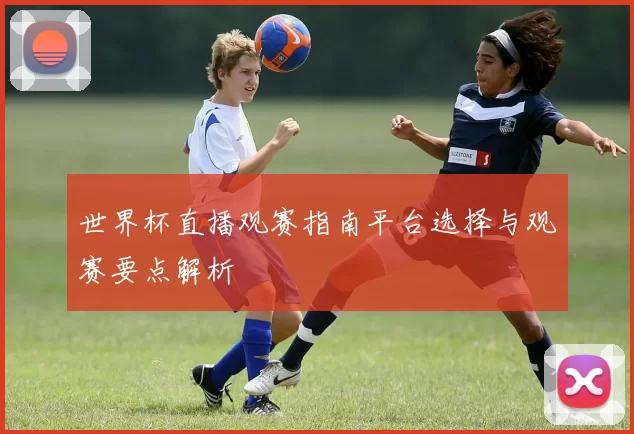 世界杯直播观赛指南平台选择与观赛要点解析