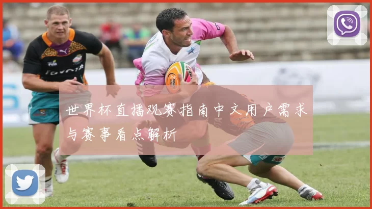 世界杯直播观赛指南中文用户需求与赛事看点解析