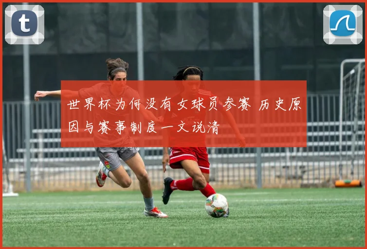 世界杯为何没有女球员参赛 历史原因与赛事制度一文说清