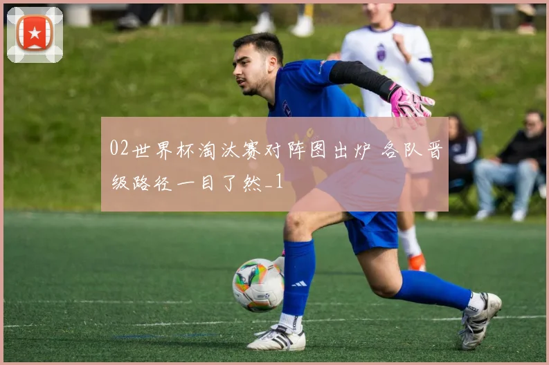 02世界杯淘汰赛对阵图出炉 各队晋级路径一目了然_1