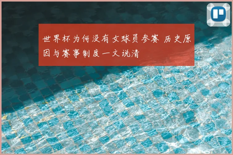 世界杯为何没有女球员参赛 历史原因与赛事制度一文说清