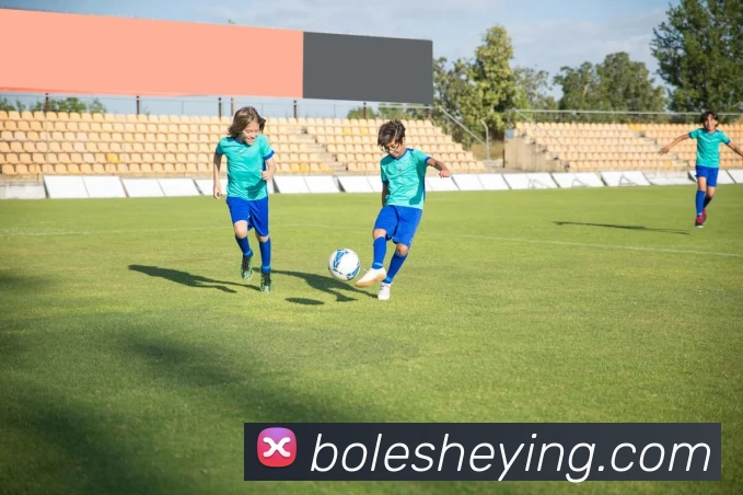 星空体育官方在线观看平台生态图